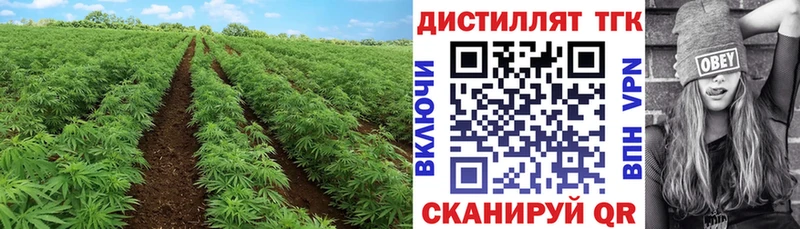 Дистиллят ТГК гашишное масло Рузаевка