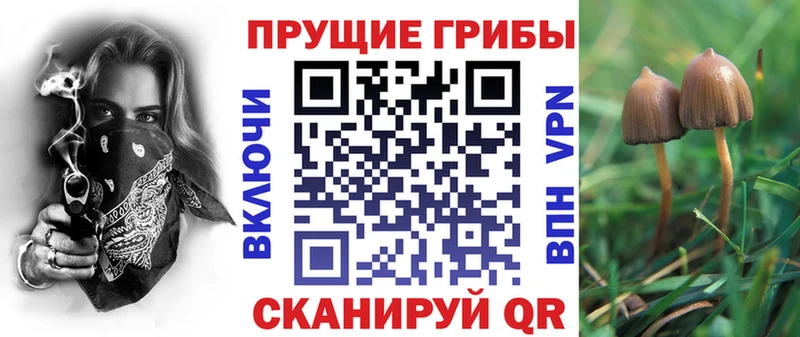 Галлюциногенные грибы мицелий  KRAKEN ссылка  Рузаевка 
